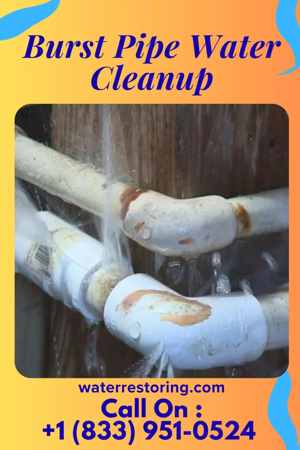 Burst Pipe Water Cleanup in Elmore, OH