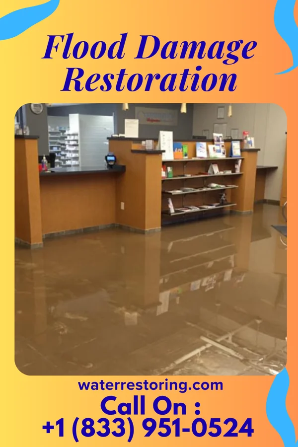 Flood Damage Restoration in Elmore, OH