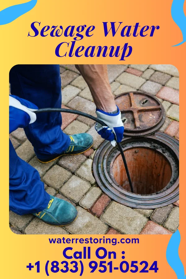Sewage Water Cleanup in Elmore, OH