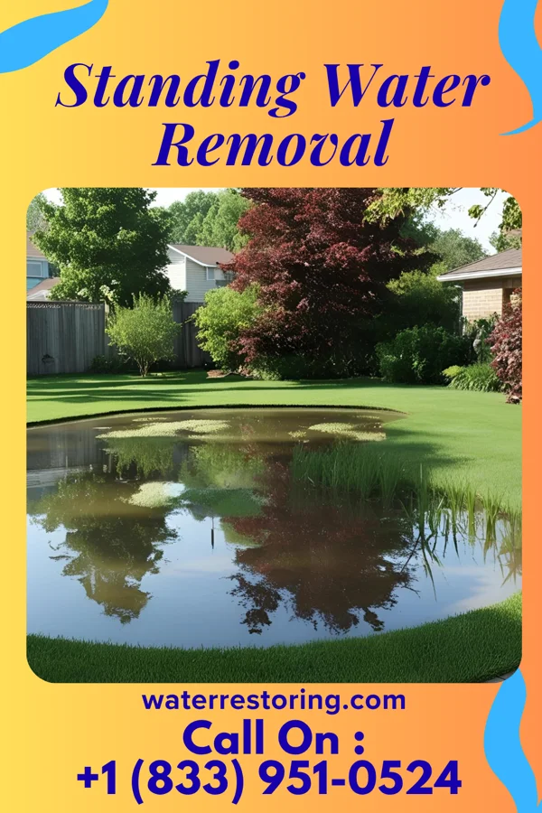 Standing Water Removal in Elmore, OH